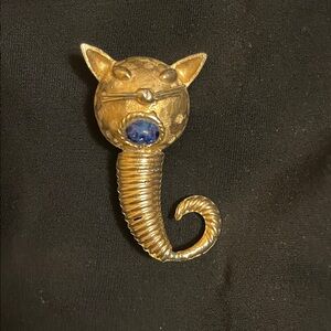 Very weird cat pin